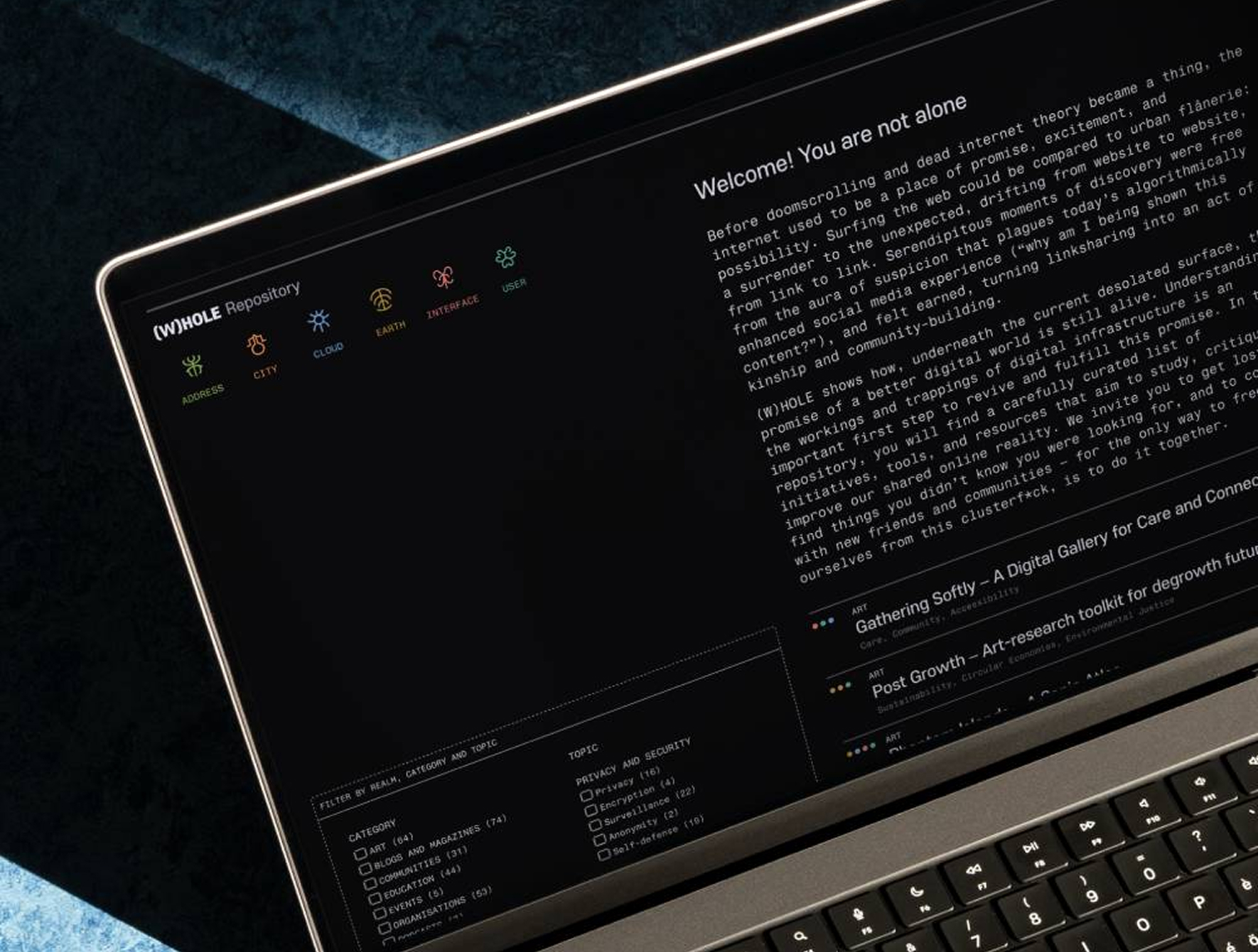 The (W)hole Project website